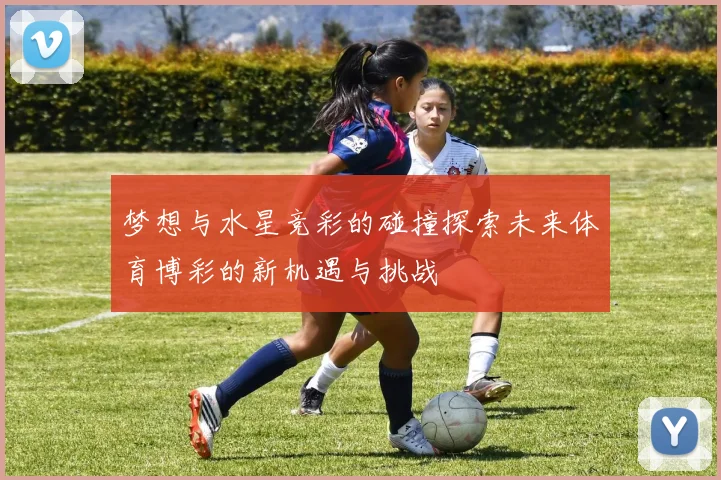 梦想与水星竞彩的碰撞探索未来体育博彩的新机遇与挑战