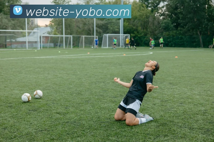 yobo体育APP 高清赛事图